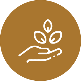 Comprehensive Neuro-Affirming Therapy